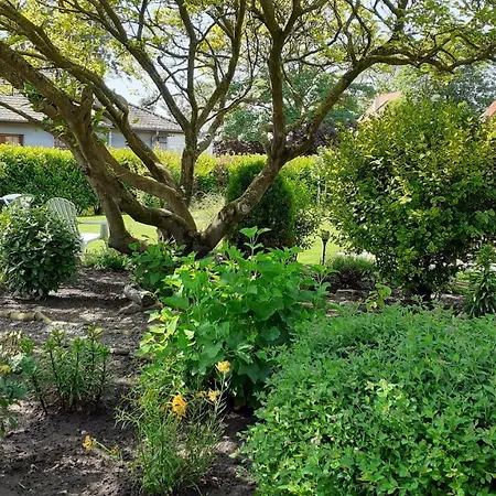 La Beuvrequentoise 1 *